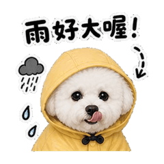 萌萌的比熊(天氣篇)