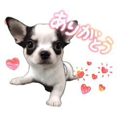 matsu_20260513225509