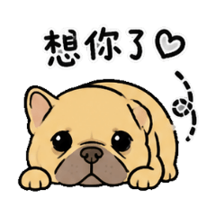咪荳._.