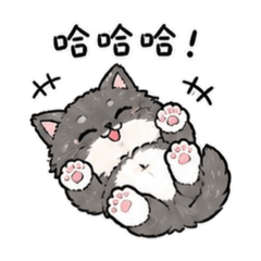 超Chill小貓咪