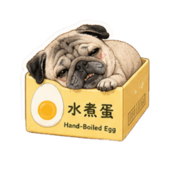 胖嘟嘟特輯