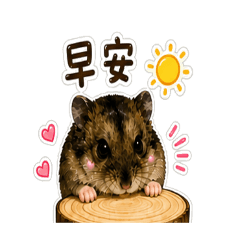 倉鼠幫你說