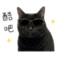 我家KIKI的日常用語