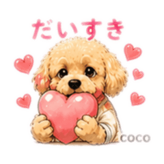 cococha--n