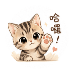 小小寶弟的一天