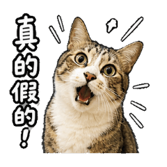 LALA的16種實用表情包