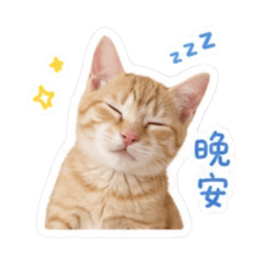 小時候のNagi