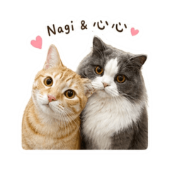 Nagi&心心