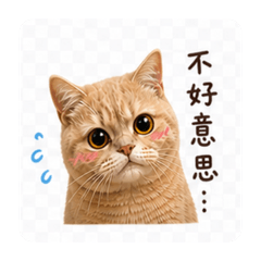 烏尼愛說話。第二彈