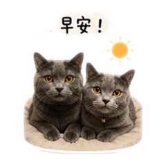 泰泰&迪迪 日常篇