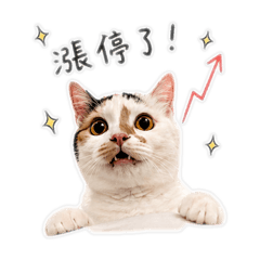 奶昔炒股