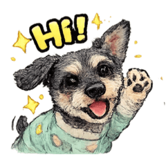 雪納瑞一家