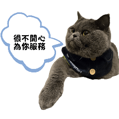 丟的隨心所欲