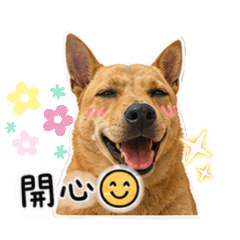 米克斯阿子小姐