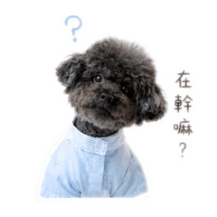 模特寶兒北鼻