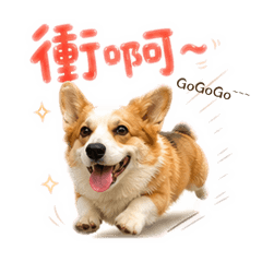 威利是隻帥柯基