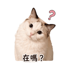 Una 優娜