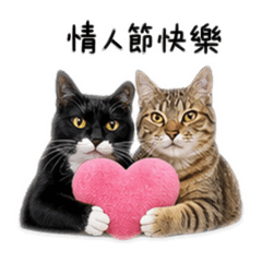 芝麻&花生2