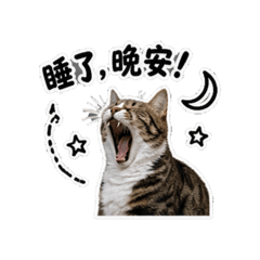 寫實版寶娟系列1