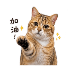 元氣喵喵