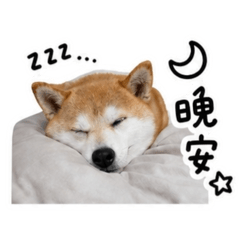 添財寶寶日常篇～