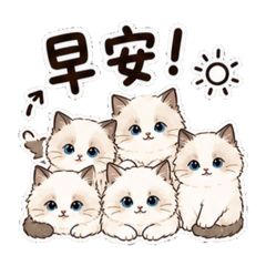 VV姐愛貓貓