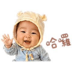 小寶|日常萬用回覆2