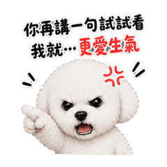 萌萌的比熊(生氣篇)