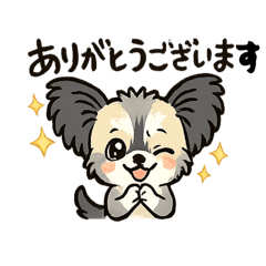 chihuahua_20260513230302