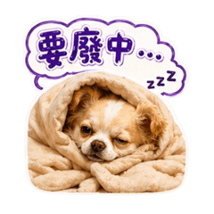 小不點阿屁-耍廢