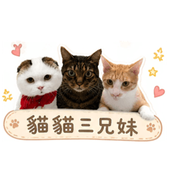 其實是三兄弟