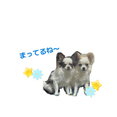 m_20260513230542
