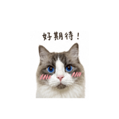 奶油的表情貼