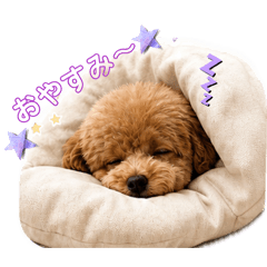 mimaru_20260513231858
