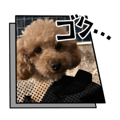 NANA_20260513231002