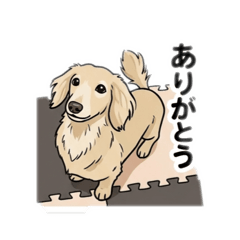 sai_20260513232056