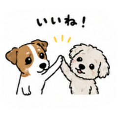 Hachi_20260513233422