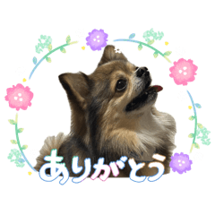 riku_20260514004045