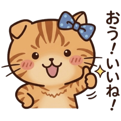 nmnm7_20260514003517