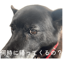 cheechan_20260514005604