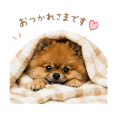 KUMA_20260514005529