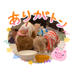 maririnkoro