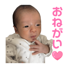 NEWBORN Haruhi
