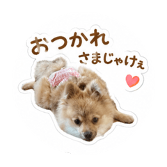 NanaChacha_20260514000830