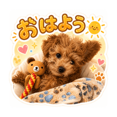 mimaru_20260514002540