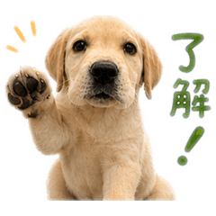Nana_20260514002437