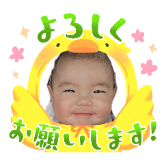 hana_20260514002101