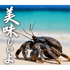 sige_20260504075254