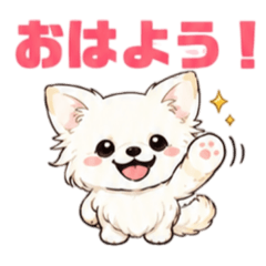 Kawaii Fluffy White Chihuahua