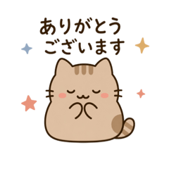 neko studio_20260514024959